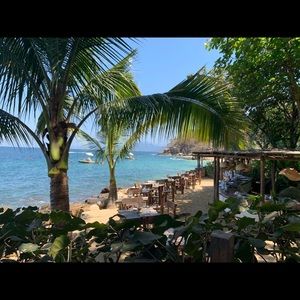 Meet your Posher, Molly